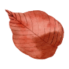 leafs